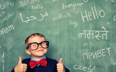 Community Language Schools Grants Program
